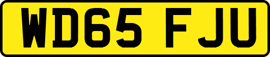 WD65FJU