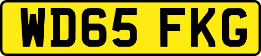 WD65FKG