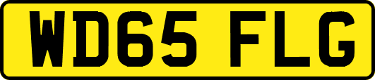 WD65FLG