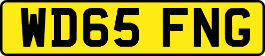 WD65FNG