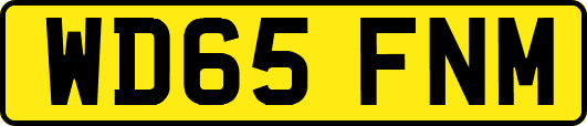 WD65FNM