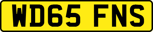 WD65FNS