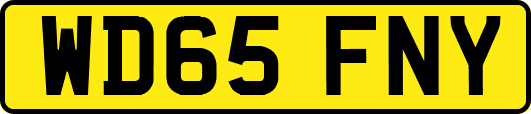 WD65FNY