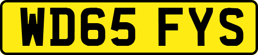 WD65FYS