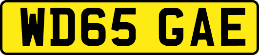 WD65GAE