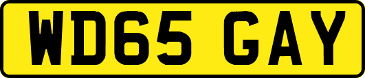 WD65GAY