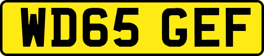 WD65GEF
