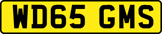WD65GMS