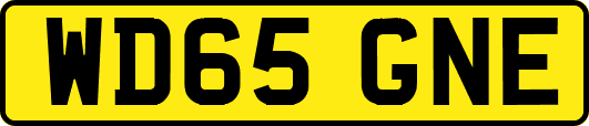 WD65GNE