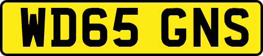 WD65GNS