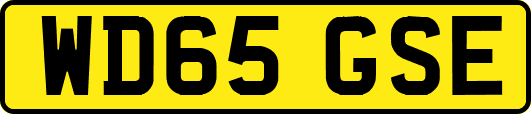 WD65GSE