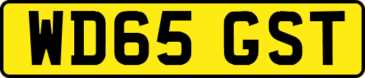 WD65GST