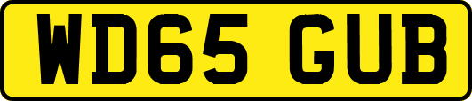 WD65GUB