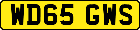 WD65GWS