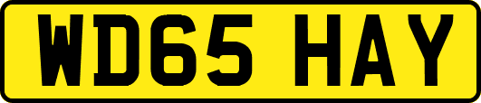 WD65HAY
