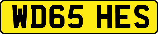 WD65HES