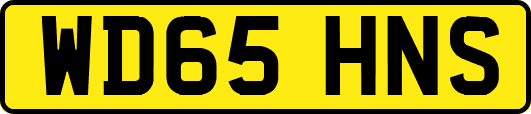 WD65HNS