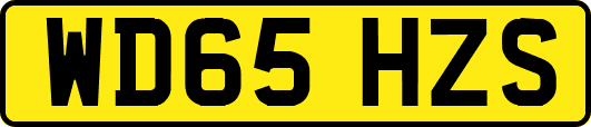 WD65HZS