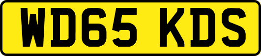 WD65KDS