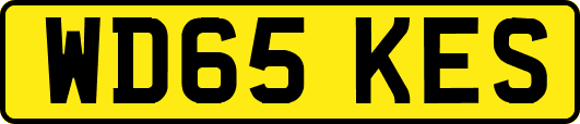 WD65KES