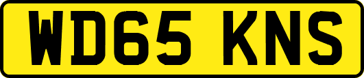 WD65KNS