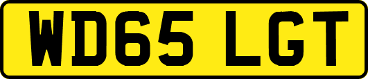 WD65LGT