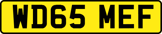 WD65MEF