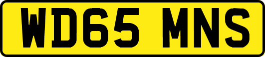 WD65MNS