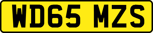 WD65MZS