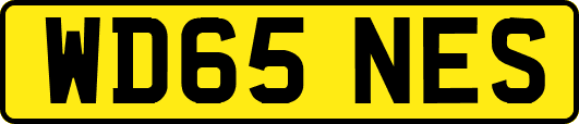 WD65NES