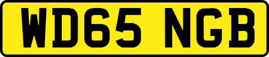 WD65NGB