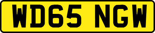 WD65NGW