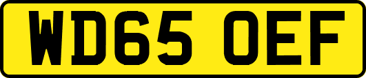 WD65OEF