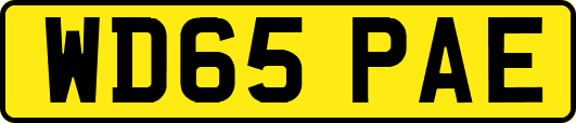 WD65PAE