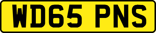 WD65PNS