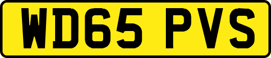 WD65PVS