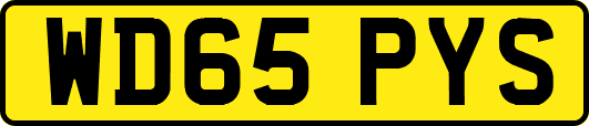 WD65PYS