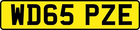 WD65PZE