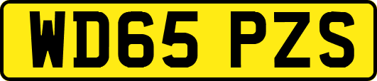 WD65PZS