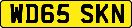 WD65SKN