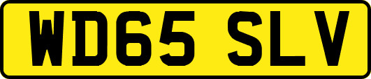 WD65SLV