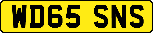 WD65SNS