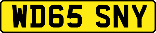 WD65SNY
