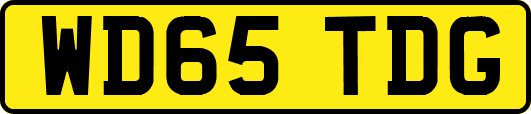 WD65TDG
