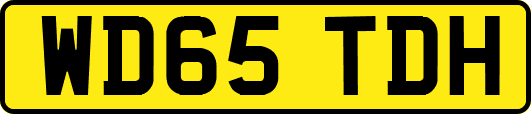 WD65TDH