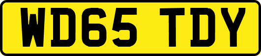 WD65TDY