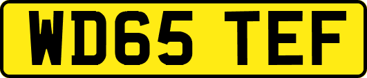 WD65TEF