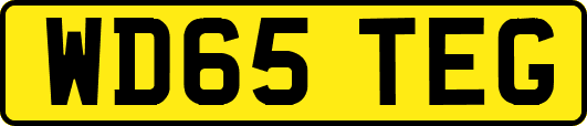 WD65TEG