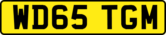 WD65TGM