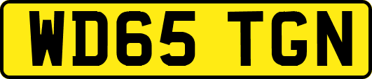WD65TGN